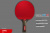 LEVEL_400_анатомическая_02+