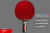 LEVEL_600_анатомическая_02+ LEVEL_600_анатомическая_02+