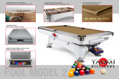 Tb_TAO-MI-pool-model-2_GOLD_08