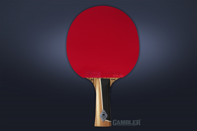 ZEBRAWOOD IM8 CARBON MECH-TEK (коническая)_02