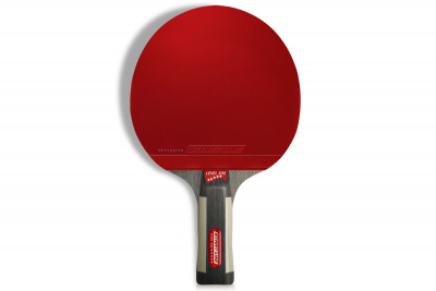 LEVEL_500_анатомическая_02