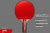 LEVEL_200_анатомическая_02+ LEVEL_200_анатомическая_02+
