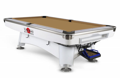 Tb_TAO-MI-pool-model-2_GOLD_01