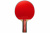LEVEL_200_анатомическая_02 LEVEL_200_анатомическая_02