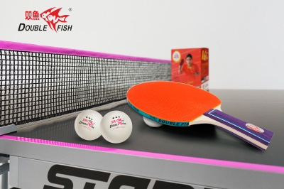 Мячи_Double-Fish-V40_3star_A110F_6шт_07