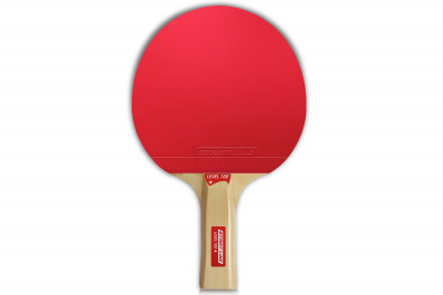 LEVEL_100_анатомическая_02