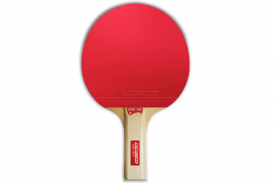 LEVEL_100_прямая_02