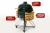 Start_Grill_24_green_03 Start_Grill_24_green_03