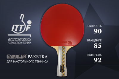 Ракетка-Gambler-4-STAR_коническая_GRC-24_01+