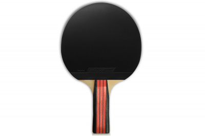 LEVEL_200_анатомическая_03