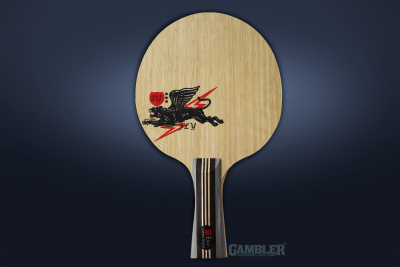 GAMBLER-DJ-FLY-FLARED_02